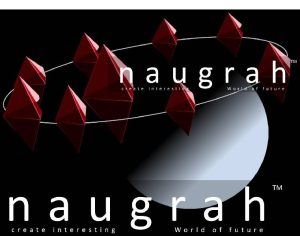 Nauragh Research & Development (OPC) Pvt Ltd logo