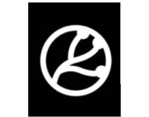Neurocog Technologies logo