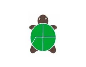 Turtle Shell Technologies Pvt Ltd logo