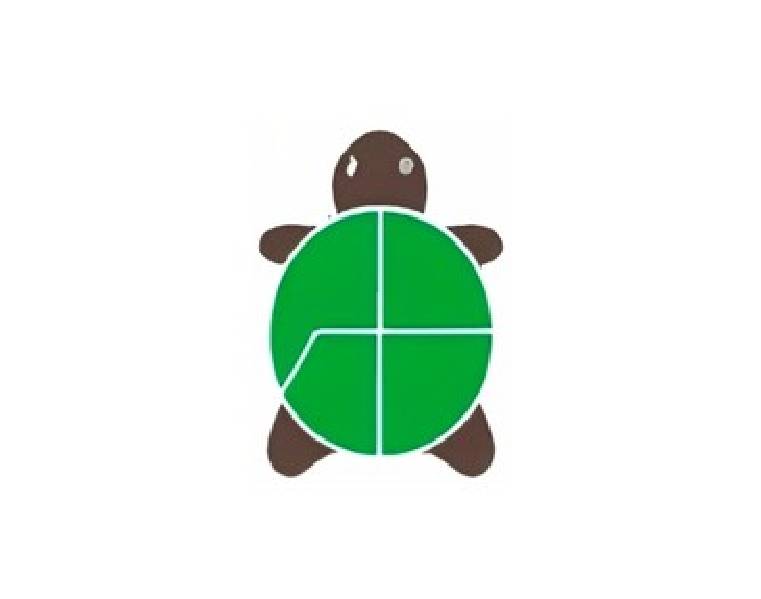 Turtle Shell Technologies Pvt Ltd